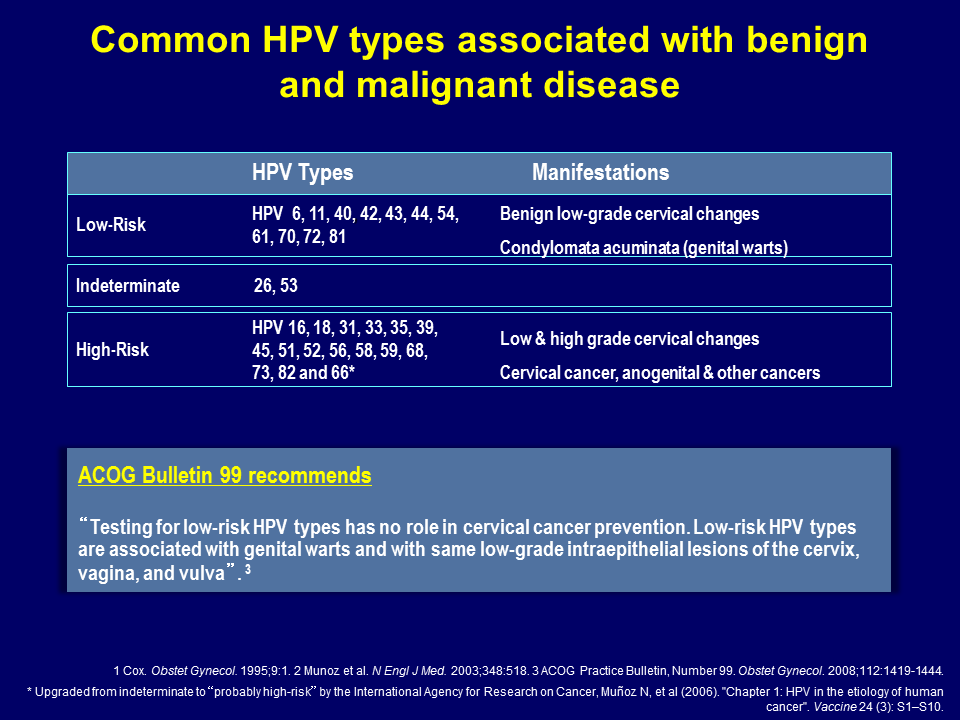 Hpv high risk genital warts - Papillomavirus types warts.