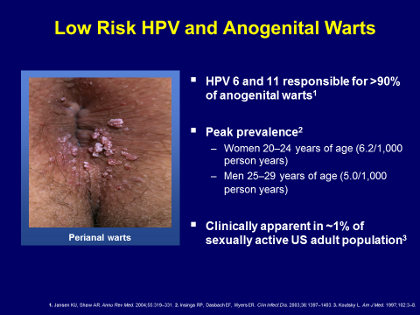 Hpv rectal warts, Hpv virus or warts