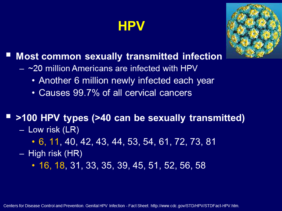 12 Cervical Cancer Screening Guidelines Implications For Primary Care Practitioners
