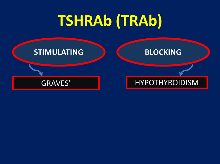 TSHRAb (TRAb) Clinical Relevance and Utility of TSHR Antibodies in