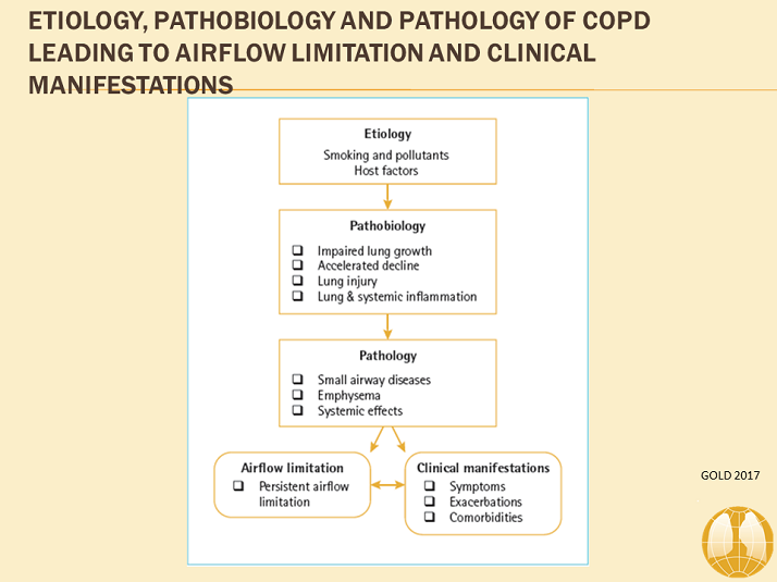 Etiology pathobiology and pathology of copd leading to airflow