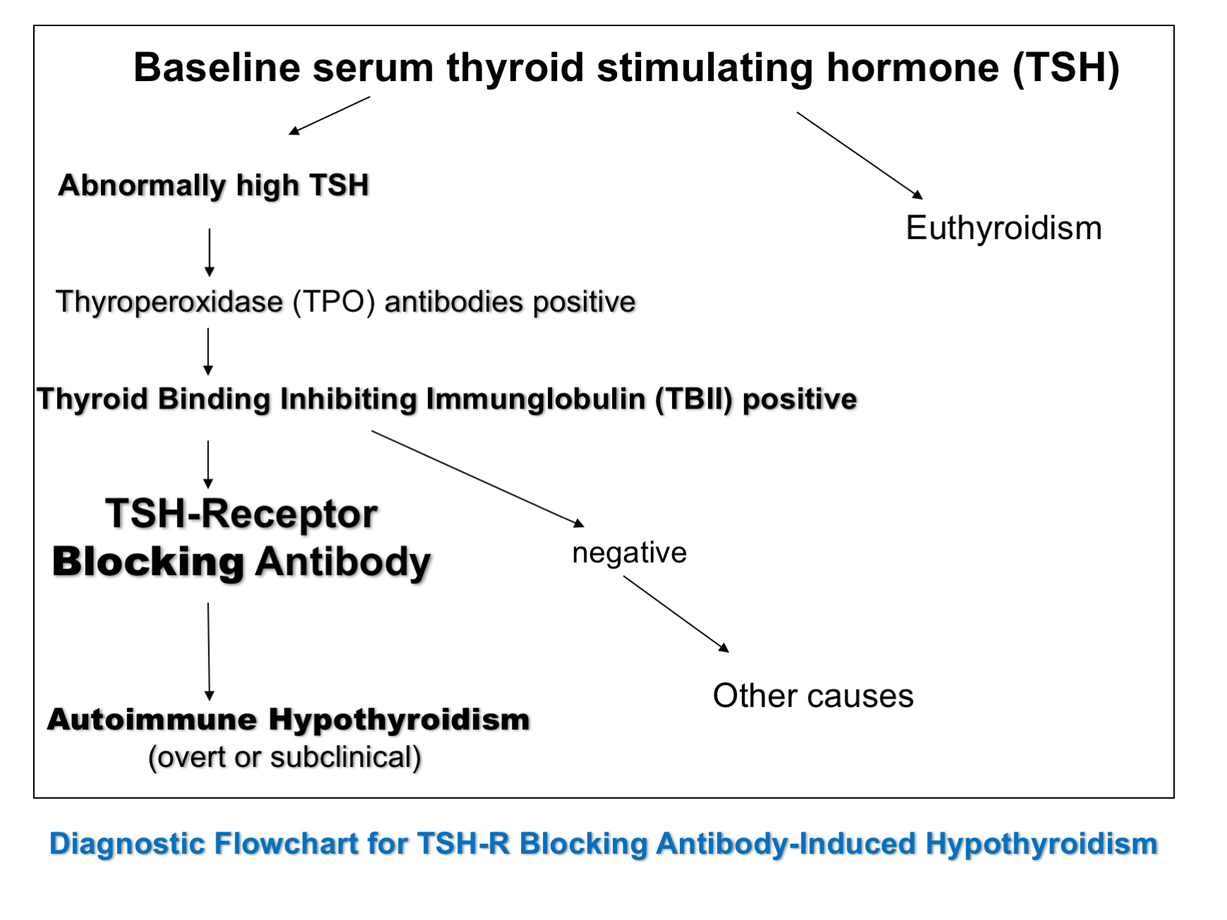 The Role of Thyroid Stimulating and Thyroid Blocking Antibodies in the