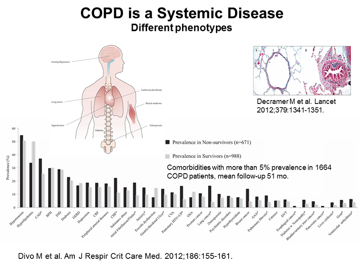 Systemic Disease - Telemedicine and Telehealth Care in COPD - Activity ...