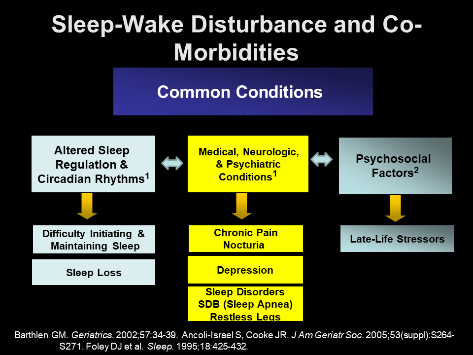 Sleep Wake Disorder