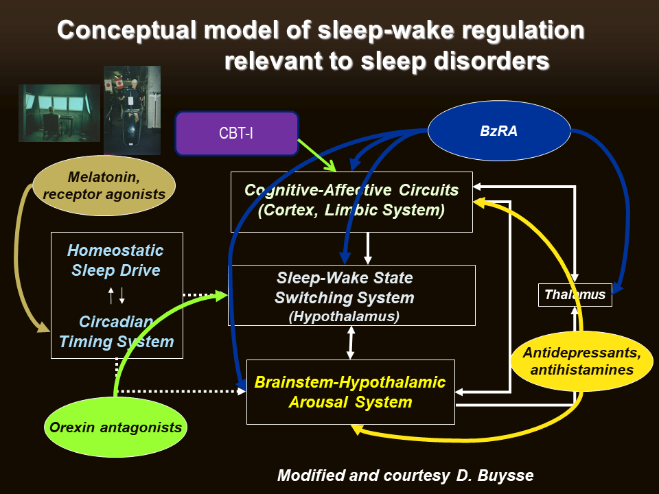 Educational Centre:Recognition of Sleep Quality, Sleep Disorders and ...