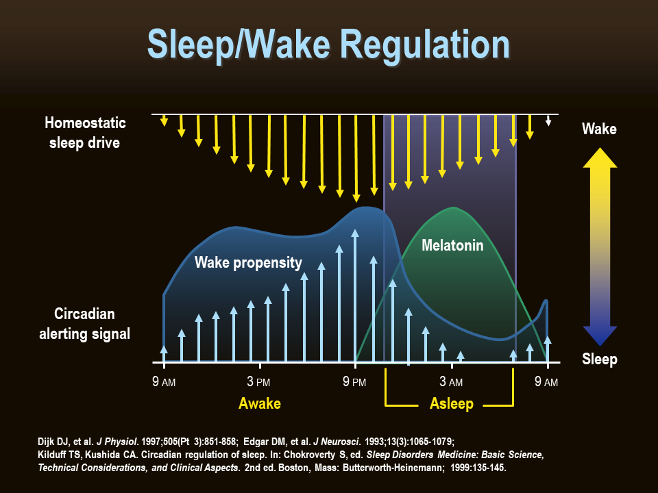 Educational Centre:Recognition of Sleep Quality, Sleep Disorders and ...