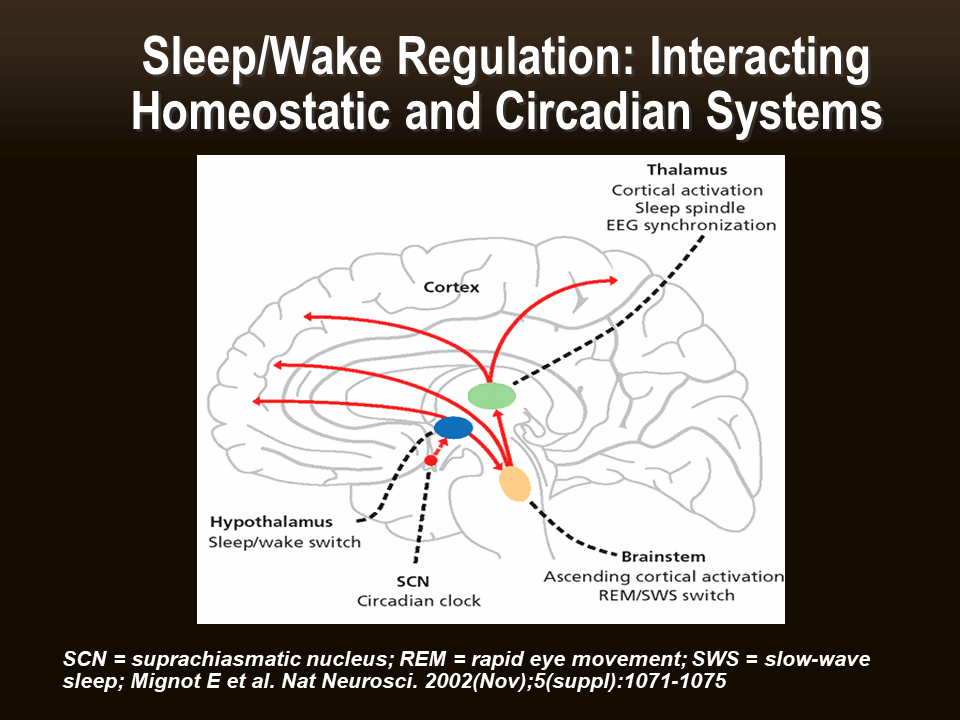 Educational Centre:Recognition of Sleep Quality, Sleep Disorders and ...