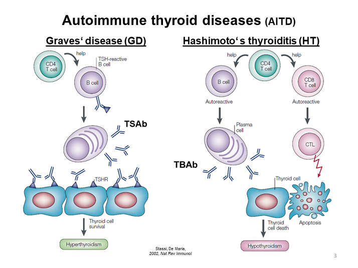 Autoimmune Thyroid Diseases (AITD) Blocking TSHRAb Methodology, Prevalence and Clinical