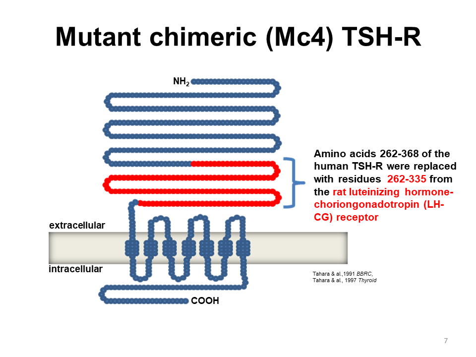 TSH Receptor Antibodies, Clinical Applications and Clinical Relevance
