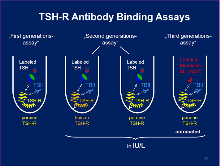 TSH Receptor Antibodies, Clinical Applications and Clinical Relevance