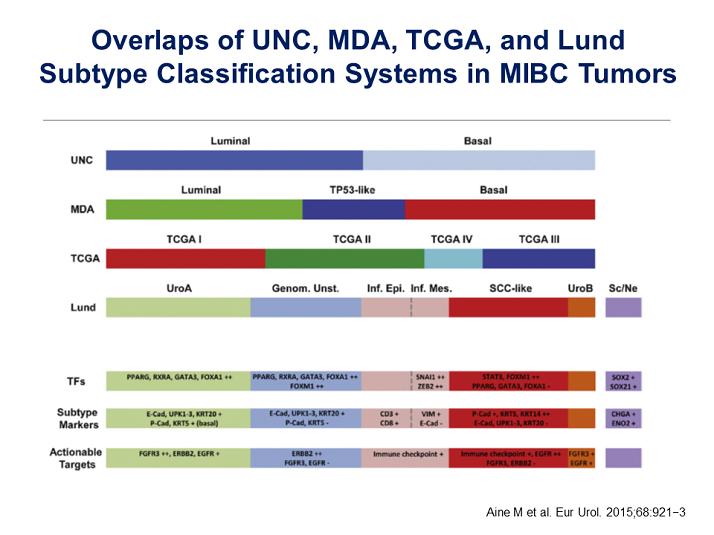 Overlaps of UNC, MDA, TCGA, and Lund Subtype Classification Systems in ...