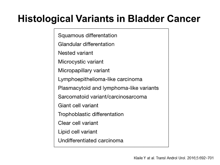 Concordance and Clinical Significance - Activity One: Do Variants in ...