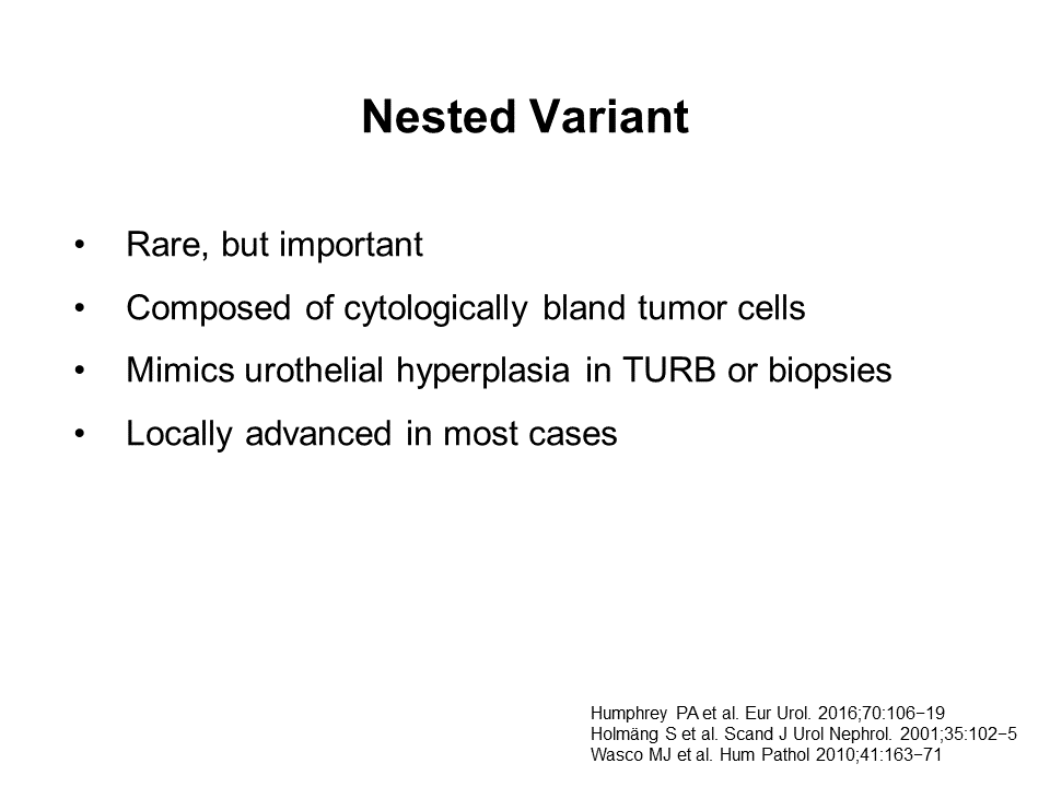 Educational Centre:Current Clinical Problems in Bladder Cancer